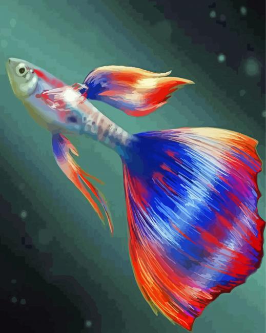 Aesthetic Guppy Fish Paint by number