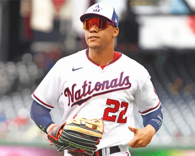Baseball Player Juan Soto paint by number