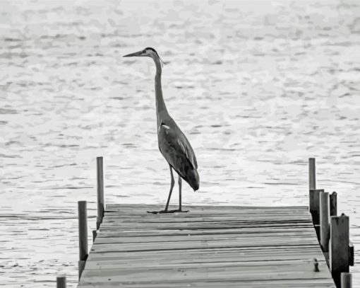 Black And White Heron On Dock paint by number