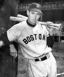 Black And White Ted Williams Paint by number