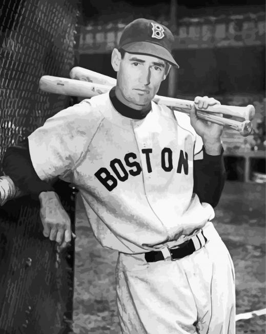 Black And White Ted Williams Paint by number