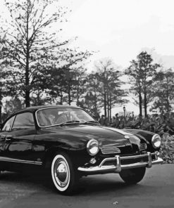 Black And White Karmann Ghia paint by number