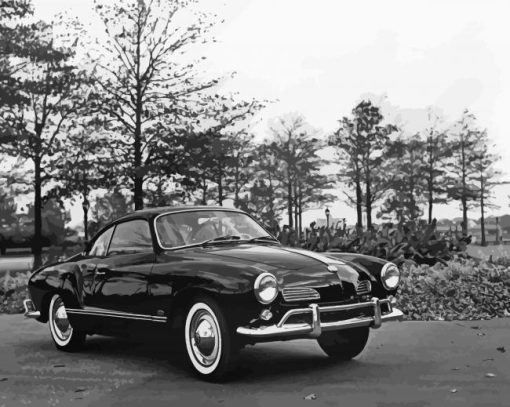 Black And White Karmann Ghia paint by number