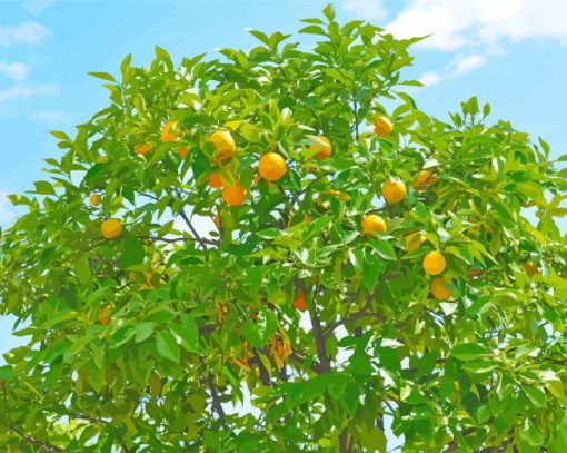 Citrus Tree paint by number