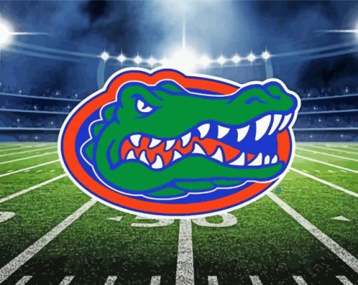 Florida Gators Football paint by number