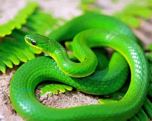 Green Snake paint by number