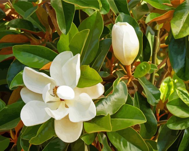 Magnolia Tree paint by number