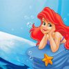 Mermaid Ariel Starfish paint by number