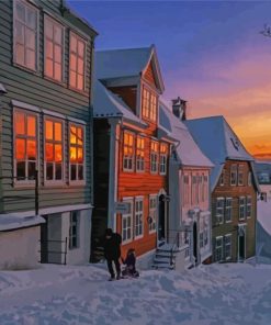 Norwegian Village During The Winter paint by number