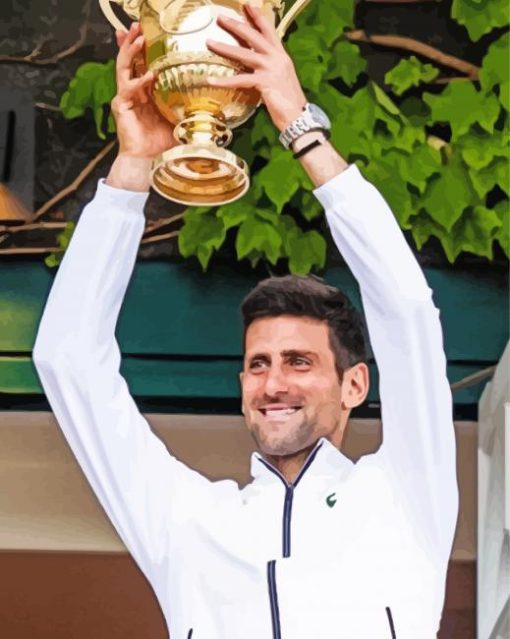 Novak Djokovic Player paint by number