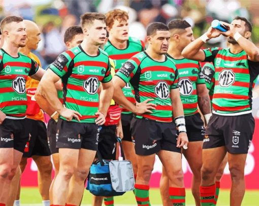 Nrl South Sydney Football Paint by number
