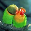 Parrot Love Bird paint by number