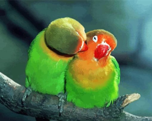 Parrot Love Bird paint by number
