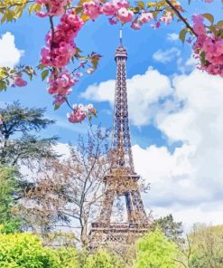 Pink Blossom In Paris paint by number