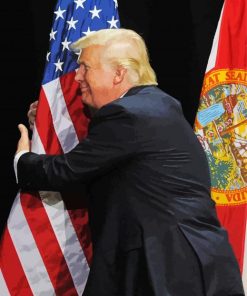 Trump And Flag Patriotic Art paint by number