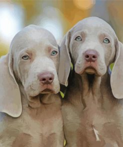 Weimaraner Puppy Dogs paint by number