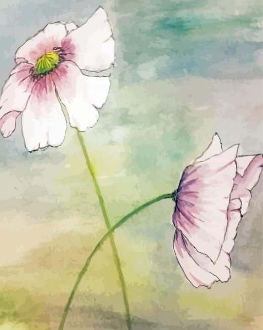 White Poppy Flowers Art Paint by number