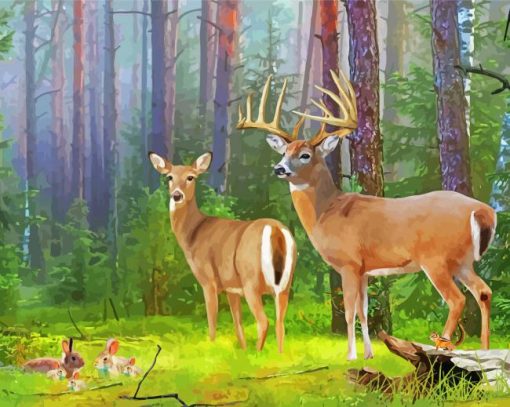 Whitetail Deer Illustration Paint by number