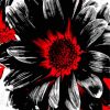 Abstract Red White And Black Daisy paint by number