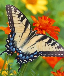 Aesthetic Butterfly Garden paint by number