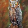 Aesthetic Long Eared Owl Illustration paint by number