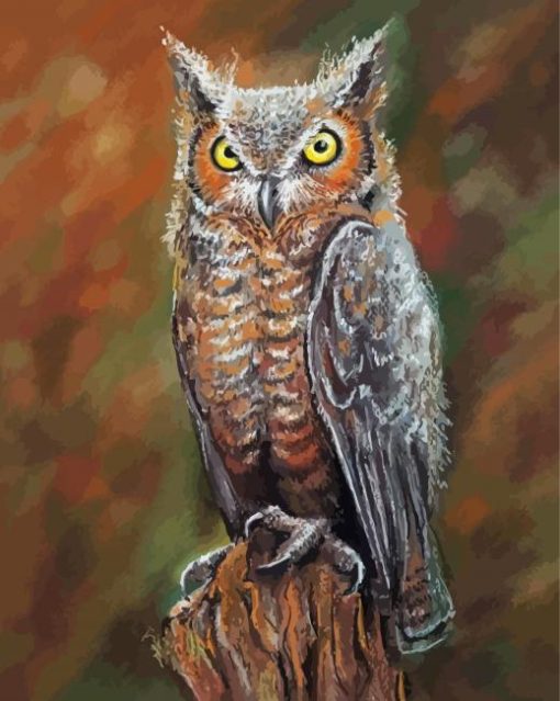 Aesthetic Long Eared Owl Illustration paint by number