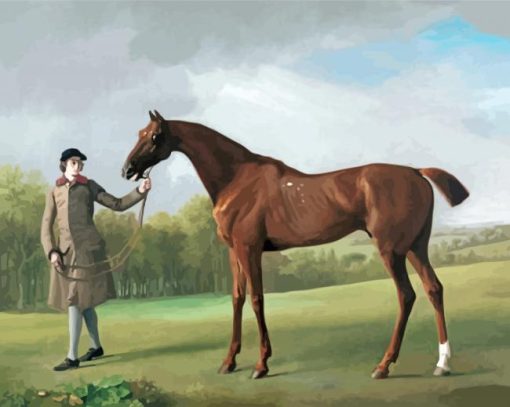 Aesthetic Stubbs Horse paint by number