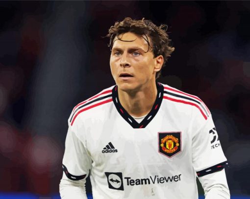Aesthetic Victor Lindelof paint by number