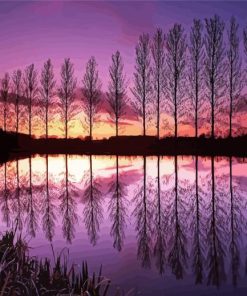 Aesthetic Water And Trees Reflection paint by number