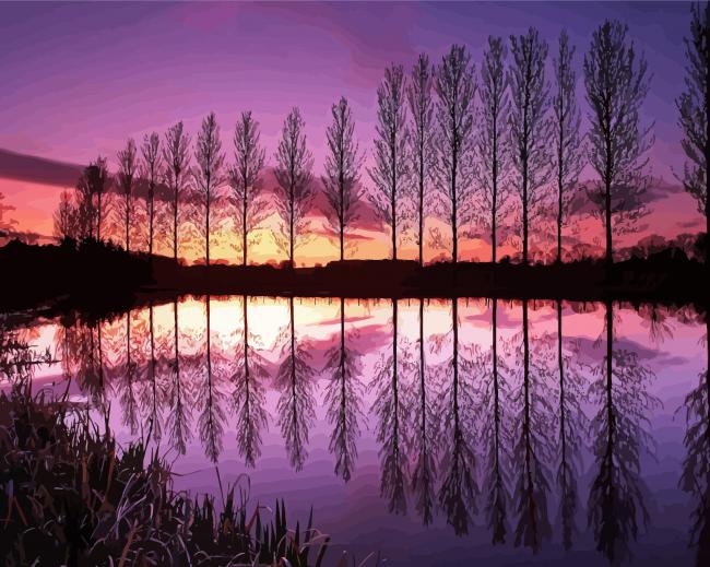 Aesthetic Water And Trees Reflection paint by number