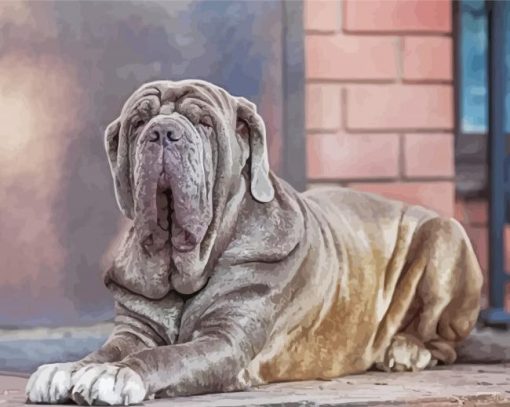 Aesthetic Neapolitan Mastiff Dog paint by number