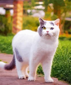 Aesthetic White Cat paint by number