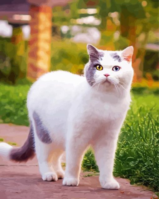 Aesthetic White Cat paint by number