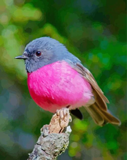 Bird With Pink Paint by number