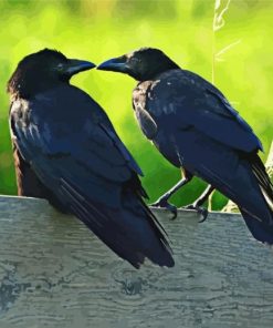 Black Crows Animals Couple Paint by number