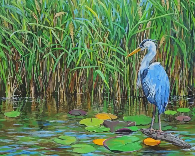 Blue Heron In Swamp Art paint by number