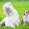 Cute Dog And Horse Paint by number