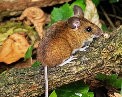 Cute Tree Mouse paint by number