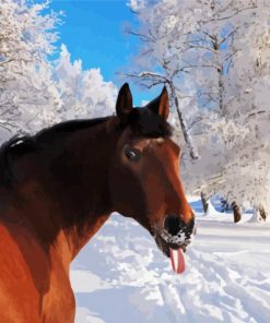 Funny Winter Horse Paint by number