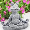 Grey Yoga Frog Paint by number