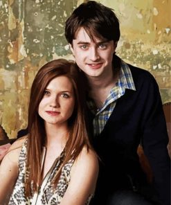 Harry And Ginny paint by number