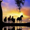 Horse Herd In Water Sunset paint by number