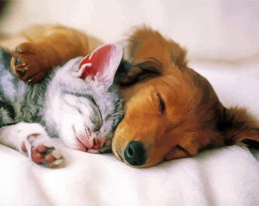 Sleepy Puppy And Kitten paint by number