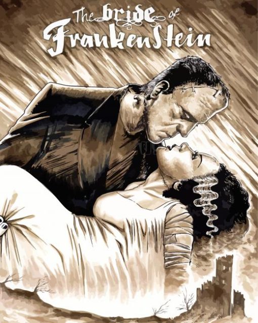 The Bride Of Frankenstein Poster paint by number