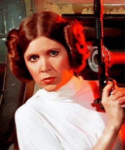 Princess Leia And Gun Paint By Numbers