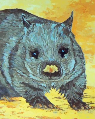 Wombat Animal Paint By Numbers 
