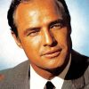 Actor Marlon Brando Paint By Numbers